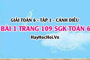 Giải bài 1 trang 109 Toán 6 Tập 1 SGK Cánh Diều
